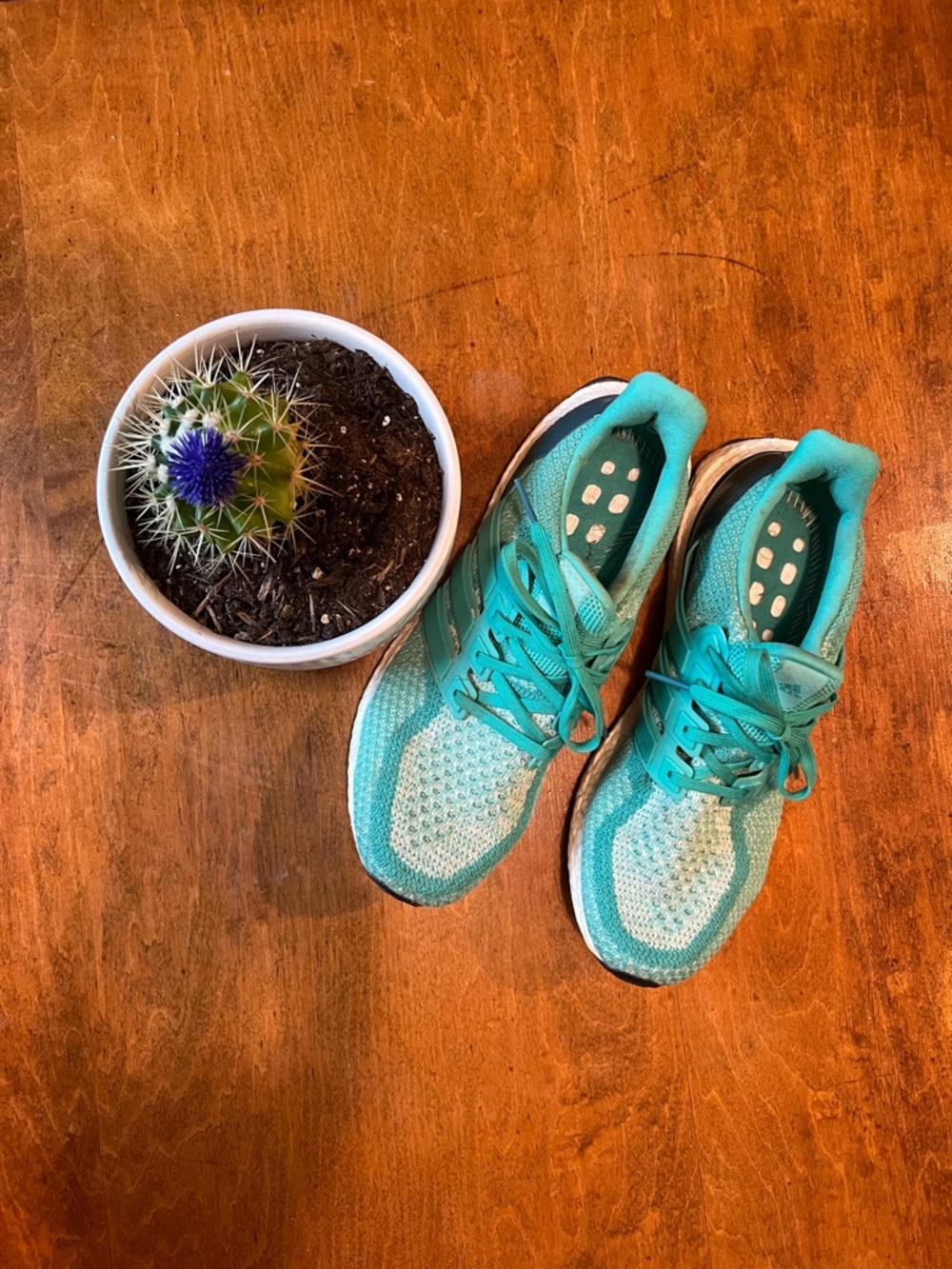 adidas UltraBoost Teal Running Shoes Women’s Athletic Sneakers Comfortable sz 10